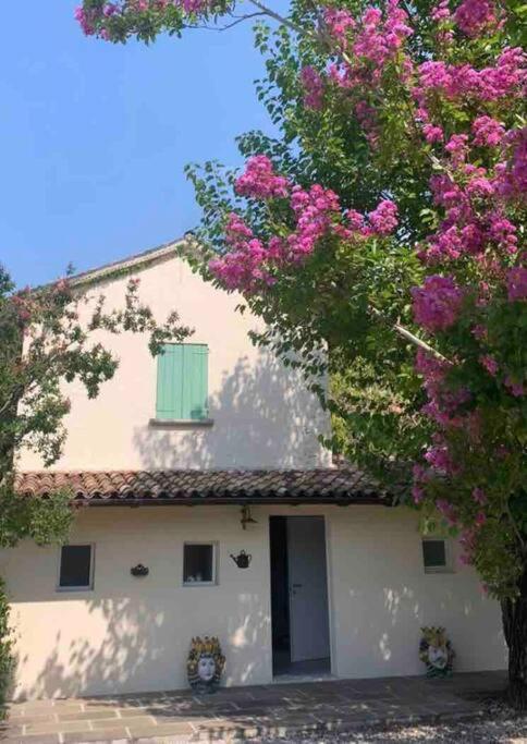 Casa Bellona Montebelluna Eksteriør bilde