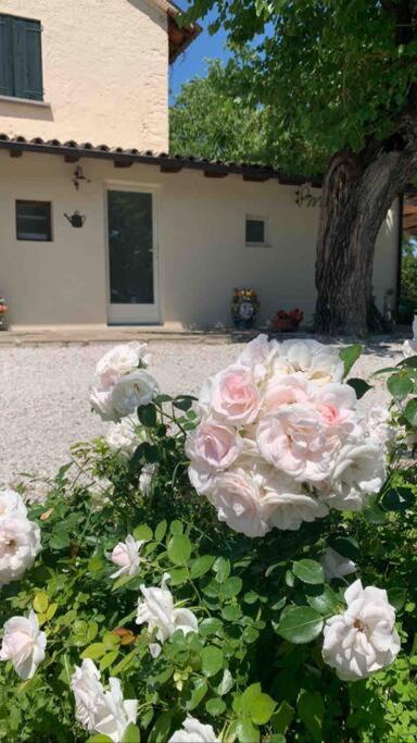 Casa Bellona Montebelluna Eksteriør bilde